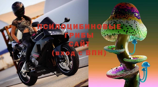 МДПВ Абинск