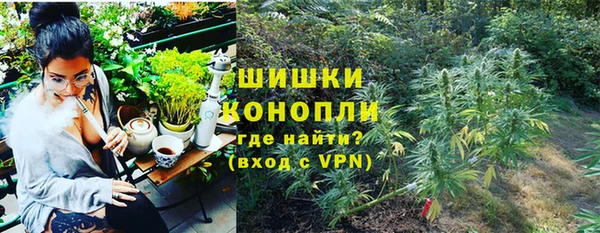 амф Алзамай