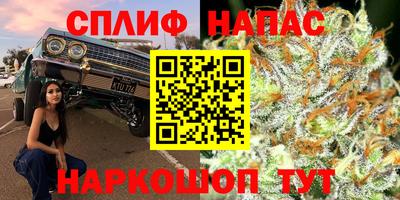 мдпв Краснознаменск