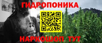 сатива Кунгур