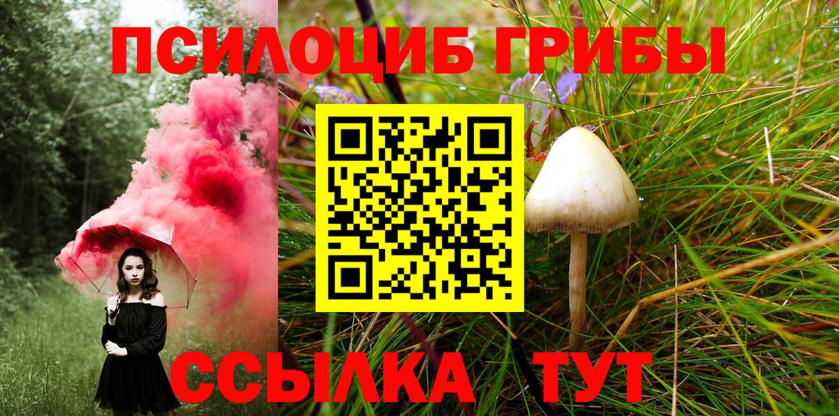 Галлюциногенные грибы Psilocybine cubensis  Вход с VPN  Ефремов 
